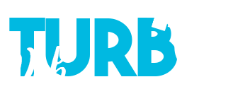 Web Turbo Logo - PageSpeed Optmierung für deine Website